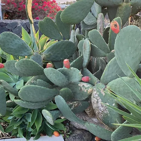 فيلة Vista Verano